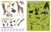 Baby Animals Sticker Book дополнительное фото 2.