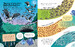 Big Book of Things to Know [Usborne] дополнительное фото 2.