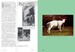 A Life in Garden Design [Thames & Hudson] дополнительное фото 2.