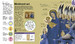 How Art Works: The Concepts Visually Explained [Dorling Kindersley] дополнительное фото 8.