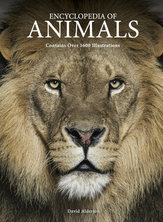 Енциклопедії: Encyclopedia of Animals [Amber Books]