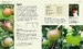Allotment Month by Month: How to Grow Your Own Fruit and Veg [Dorling Kindersley] дополнительное фото 2.