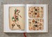 TATTOO. 1730s-1970s. Henk Schiffmacher’s Private Collection [Taschen] дополнительное фото 15.