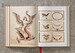 TATTOO. 1730s-1970s. Henk Schiffmacher’s Private Collection [Taschen] дополнительное фото 7.