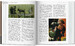 What Great Paintings Say. Masterpieces in Detail [Taschen] дополнительное фото 5.