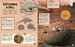 How Not to Get Eaten [Dorling Kindersley] дополнительное фото 5.