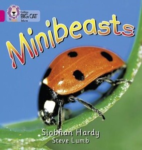 Книги для детей: Minibeasts - Collins Big Cat.