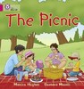 The Picnic Band 01A/Pink A - Collins Big Cat
