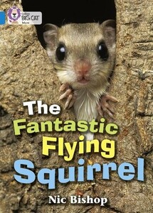 Книги для детей: The Fantastic Flying Squirrel Band 04/Blue - Collins Big Cat