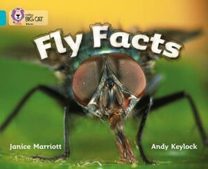 Навчання читанню, абетці: Big Cat 7 Fly Facts [Harper Collins]