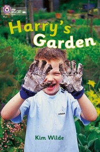 Книги для детей: Big Cat  4 Harry's Garden
