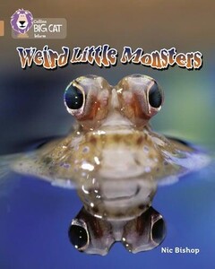 Животные, растения, природа: Weird Little Monsters - Collins Big Cat. Copper, Band 12