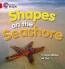 Big Cat 2A Shapes on the Seashore. Workbook [Harper Collins]