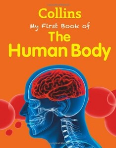 Книги про людське тіло: My First Book of the Human Body New Edition