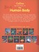 My First Book of the Human Body New Edition дополнительное фото 1.