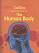 My First Book of the Human Body New Edition дополнительное фото 2.