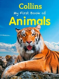 Книги про животных: My First Book of Animals New Edition