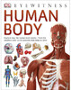 Human Body - Dorling Kindersley