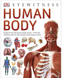 Книги про людське тіло: Human Body - Dorling Kindersley