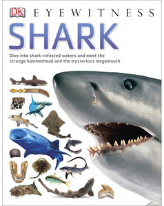 Книги для детей: Shark