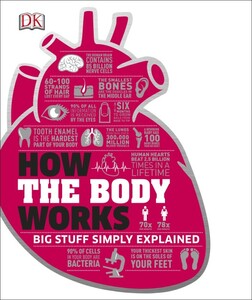 Книги для дорослих: How the Body Works