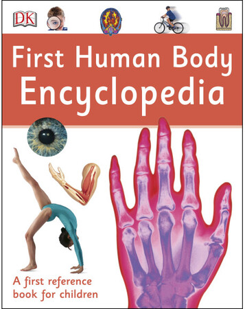 Для молодшого шкільного віку: First Human Body Encyclopedia