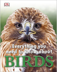 Пізнавальні книги: Everything You Need to Know About Birds
