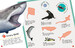 Sharks Ultimate Sticker Book дополнительное фото 3.