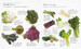 Eat More Vegetables дополнительное фото 3.