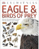 Eagle & Birds of Prey