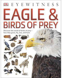 Пізнавальні книги: Eagle & Birds of Prey