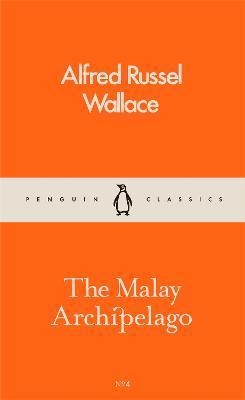 Художні: The Malay Archipelago [Pocket Penguins]
