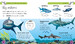 Sharks and Other Sea Creatures дополнительное фото 1.