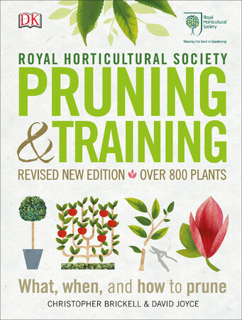 Для среднего школьного возраста: RHS Pruning and Training