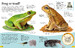 DKfindout! Reptiles and Amphibians дополнительное фото 1.