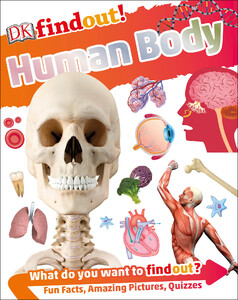 Познавательные книги: DKfindout! Human Body