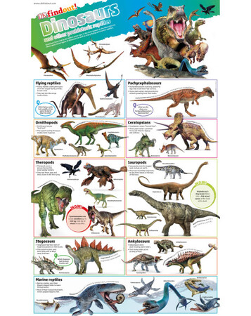 Книги про динозавров: DKfindout! Dinosaurs Poster