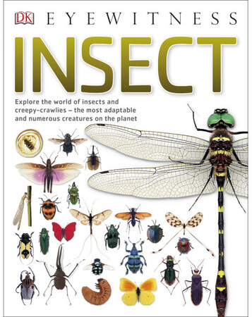 Для молодшого шкільного віку: Insect