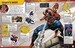 Spider-Man Ultimate Sticker Collection дополнительное фото 1.