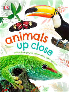 Книги про животных: Animals Up Close