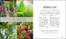 RHS How to Create your Garden дополнительное фото 8.
