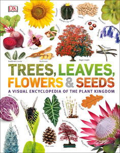 Познавательные книги: Trees, Leaves, Flowers & Seeds