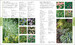 RHS Encyclopedia Of Plants and Flowers дополнительное фото 3.