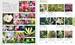 RHS Encyclopedia Of Plants and Flowers дополнительное фото 4.