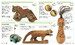 DK Pocket Eyewitness Ancient Egypt дополнительное фото 2.