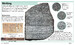 DK Pocket Eyewitness Ancient Egypt дополнительное фото 3.