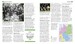 Big Ideas: The World War II Book [Dorling Kindersley] дополнительное фото 5.
