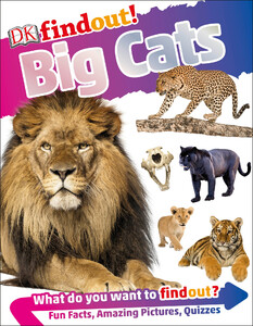 Познавательные книги: DKfindout! Big Cats