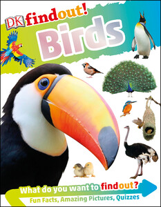 Пізнавальні книги: DKfindout! Birds