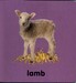 Bible Animals - DK Baby Touch and Feel дополнительное фото 6.